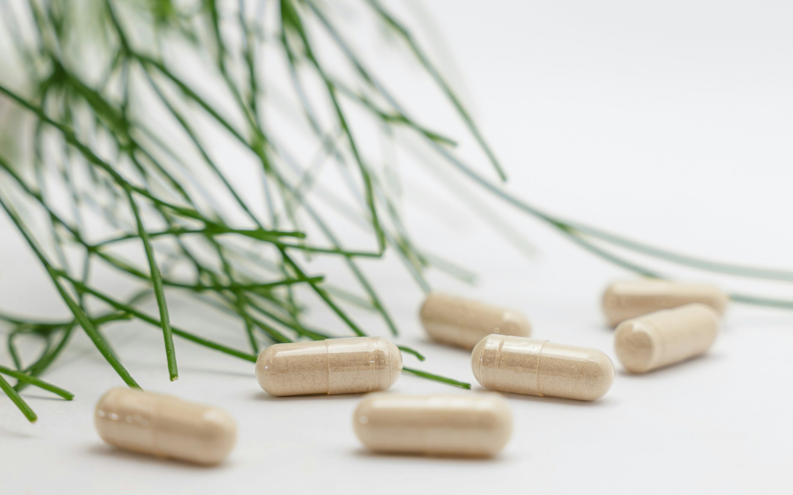 Top Weight Loss Supplements with Mitolyn